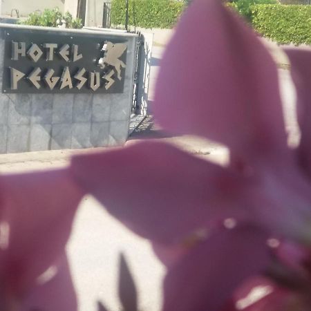 Pegasus Hotel Ханиоти Екстериор снимка