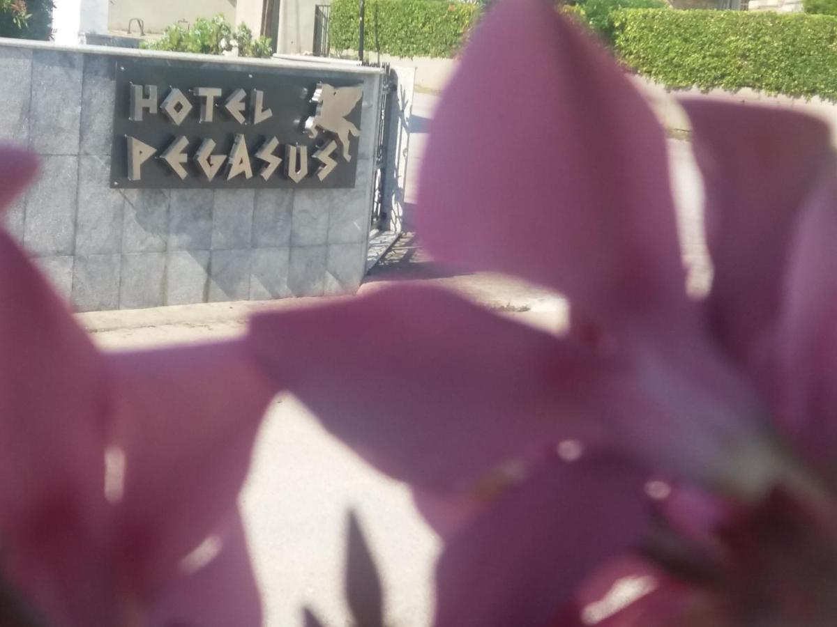 Pegasus Hotel Ханиоти Екстериор снимка